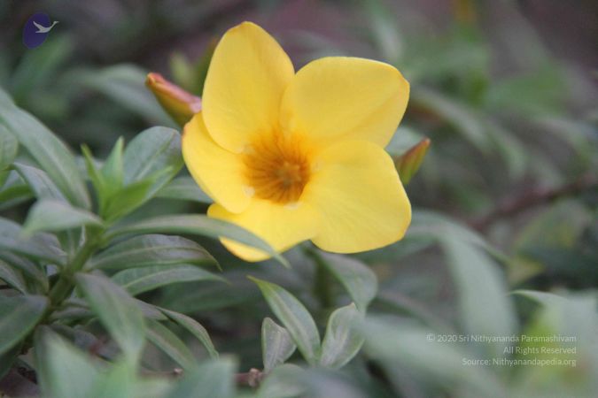 20130331 Photo 1177 1lszVDK4Ei99i66fU 450gceh4Pm3cZMy.JPG