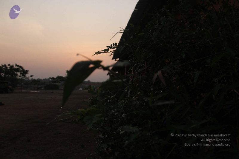 File:20130401 Photo 1012 12eIvbIda4UDGHurCFXft6hin6iZFars-.JPG