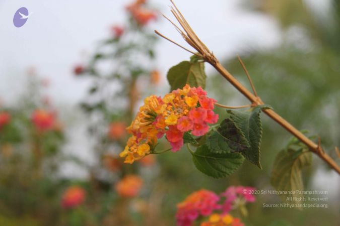 20130402 Photo 1033 11Z-T-oLsIzbN7AgsibXosnD1pOn4JQkZ.JPG