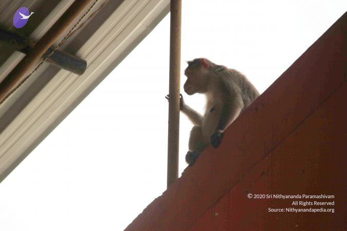 20130402 Photo 1129 1tpSWp44fQQ49LMrshFUMpyKiQ6fLulbY.JPG