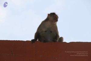 20130402 Photo 1131 1qcxxxMBHYFp6E-WS2Ts0UCEwc-R6GqWY.JPG