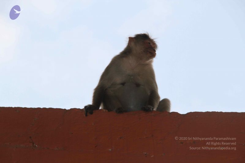 File:20130402 Photo 1131 1qcxxxMBHYFp6E-WS2Ts0UCEwc-R6GqWY.JPG