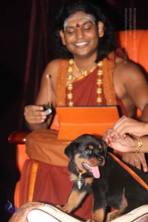 20130403 Photo 1003 17L0-WZxs7y1v6JrMeAmTMrC2wuZwDvf7.JPG