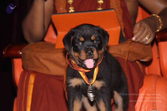 20130403 Photo 1128 1vFCeOzKgSqvJF6OdQAeQ7BI9CH5BOjof.JPG