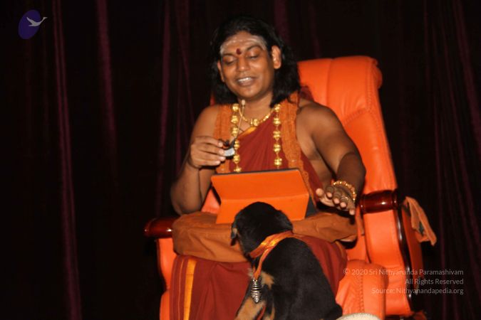 20130403 Photo 1129 1XYcYWh49bB27JDnK0iGl9K6rZ2ZtmWz6.JPG