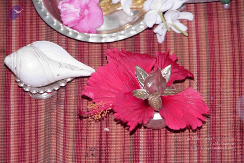 File:20130404 Photo 1085 1YeihkjnGrlH12RNC-Y6C dOxNSRFCvFL.JPG