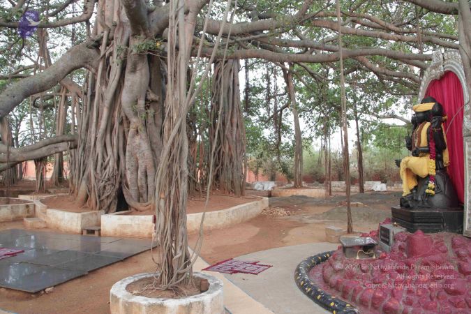 20130406 Photo 1005 1Gy9tlj8XKrwG5vOpySy1mLlf03pKv50Y.JPG