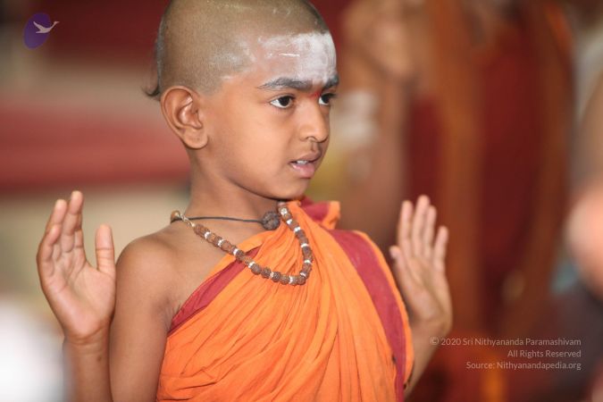 20130410 Photo 1094 1o65bySUO1mlLDk7TZfoTlpC2j6ub8Ust.JPG