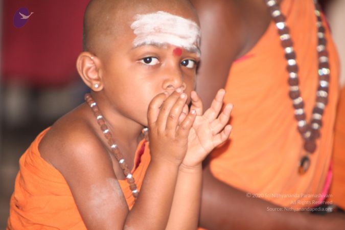 20130410 Photo 1100 1iRuk4GDjXIqmrELhMLdYCHhopvX3zts1.JPG