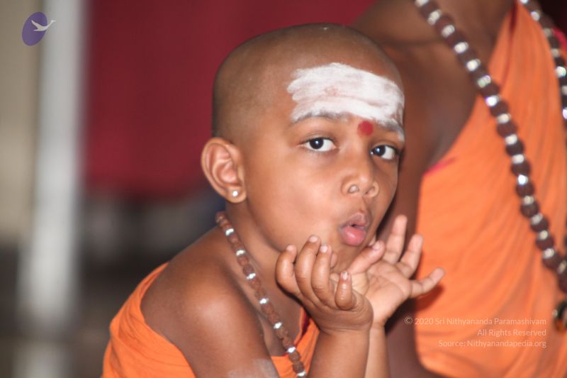 File:20130410 Photo 1101 1DLHf-pNAHDrQfAvAMJA24GaXUvC7OTPV.JPG