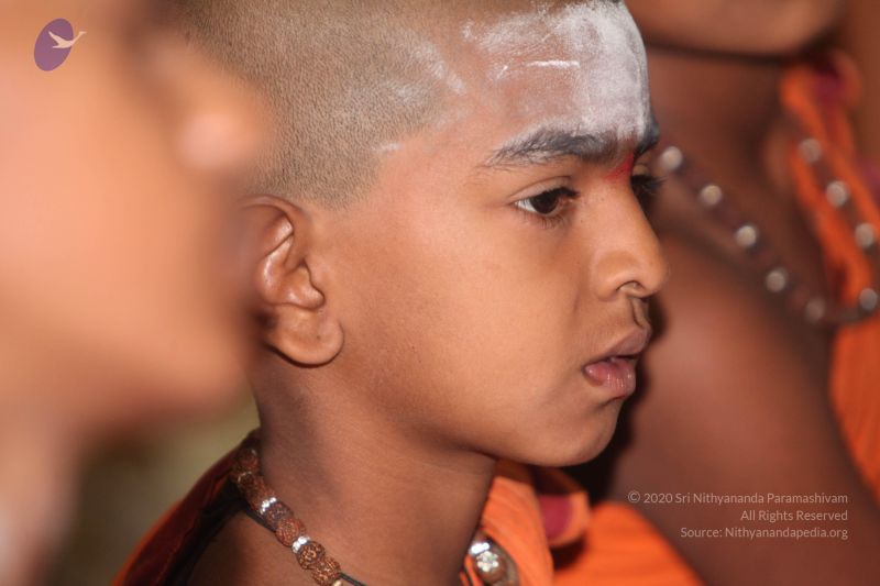 File:20130410 Photo 1105 1tIpty1xBQvJVCIIc7C2Gkf-LzxMF8nN-.JPG