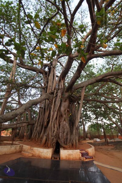 File:20130412 Photo 1000 1NaZmPzO kXJg2FbC-cOvVjTi3Z Z4q0K.JPG