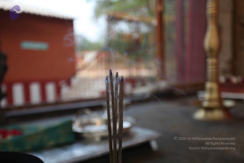 File:20130412 Photo 1025 1tNgMKu2GAZeKOU60j3MAb7XSfz7fWev4.JPG