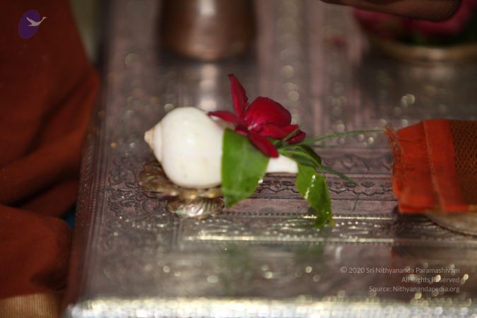 20130412 Photo 1029 1sGLKpMqP o7v3qgWMeUQd-Cn43WbY9wp.JPG