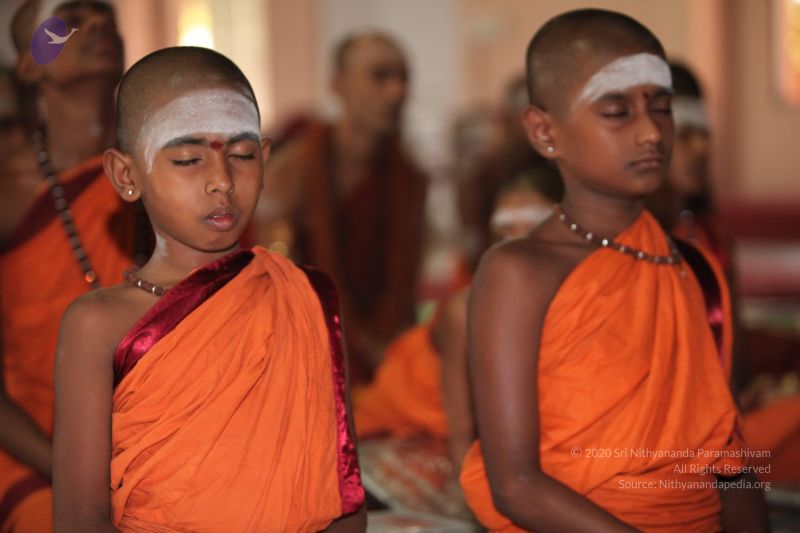 File:20130412 Photo 1036 1LIQUQP8dGX1chepikKdArqoDhj8oxpUH.JPG