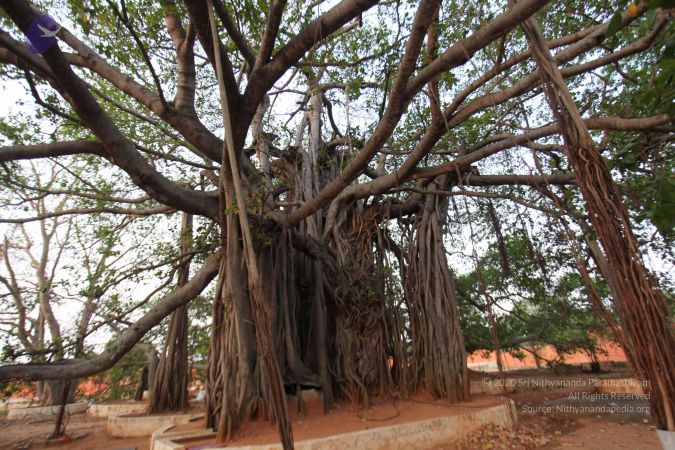 20130412 Photo 1060 113nVueaFSgz kTUl Xh m4tnLX8urt7b.JPG