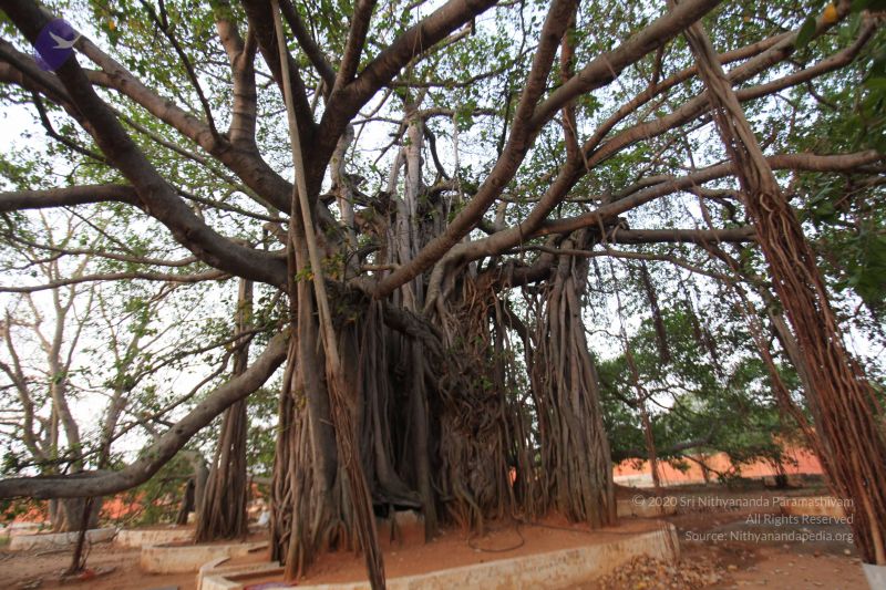 File:20130412 Photo 1060 113nVueaFSgz kTUl Xh m4tnLX8urt7b.JPG