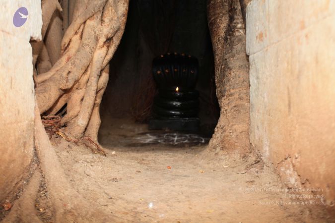 20130412 Photo 1062 1XAL86QuICnOETRkaBoGbkNdCN3hGXHdO.JPG