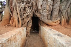 20130412 Photo 1063 1xABcCQop-Fnv8KQ-pBUkyCTKrh4vXspt.JPG