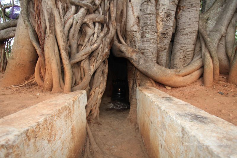 File:20130412 Photo 1063 1xABcCQop-Fnv8KQ-pBUkyCTKrh4vXspt.JPG