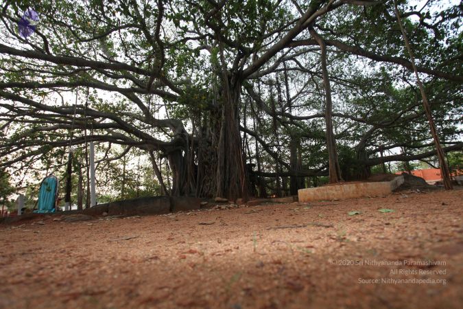 20130412 Photo 1064 1 AmW4VfNHB-RAeyCsg2GQTwZhxuDyxw2.JPG