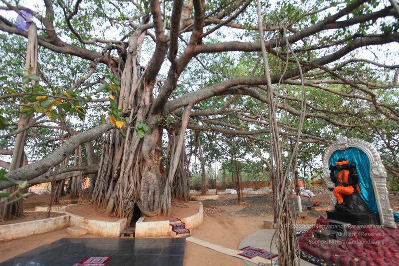 File:20130412 Photo 1072 1R5Y6 tUiB3jS6-g7PpWlrlK1oHvdrJbr.JPG