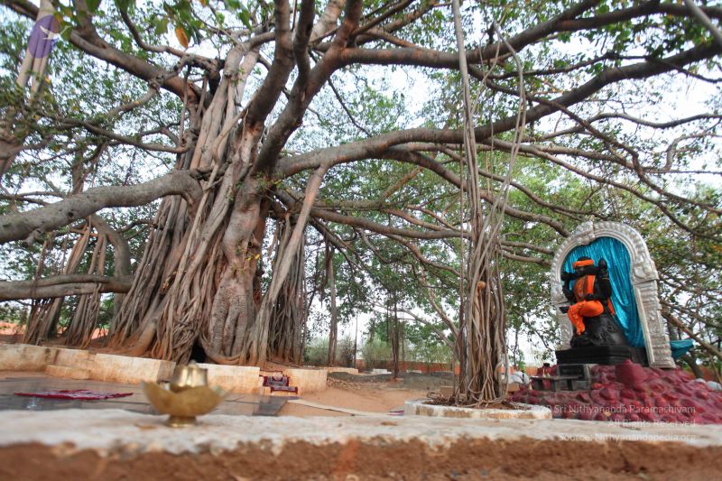 File:20130412 Photo 1073 1mp13FfTFmgZjPFvOiBzDxBoYWoWJbuYD.JPG