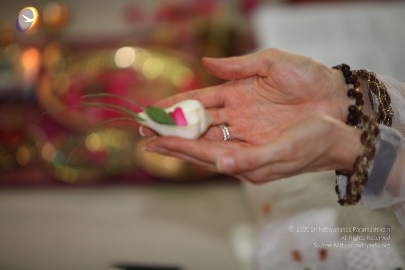 File:20130412 Photo 1148 1y1Kr5acGGPI66HRwizJGMKVroB2bZQUa.JPG