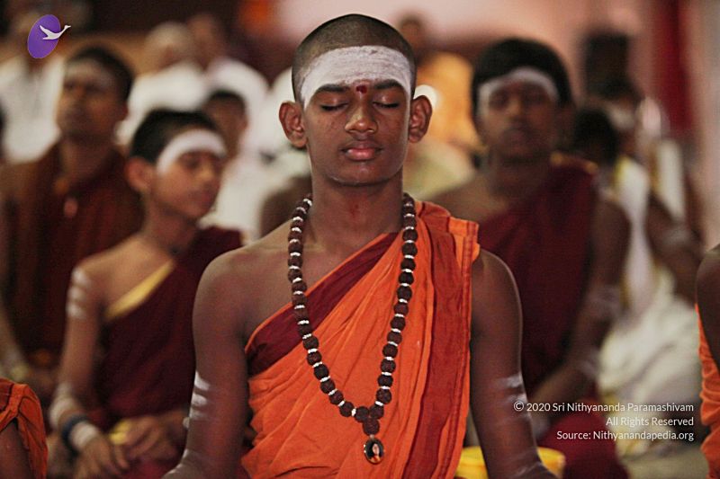 File:20130413 Photo 1015 1tgAFRuHuowJLlvhexzgUICTaLgxOtFem.JPG