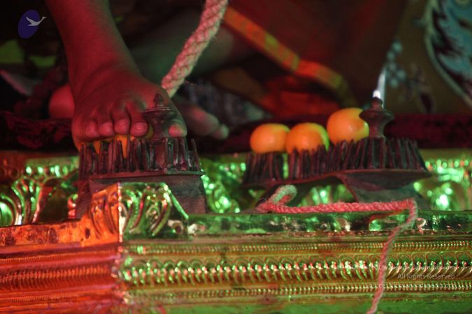 20130413 Photo 1039 1AC3mizcLNJHnfvuMElKA3vazVeQUN7bQ.JPG