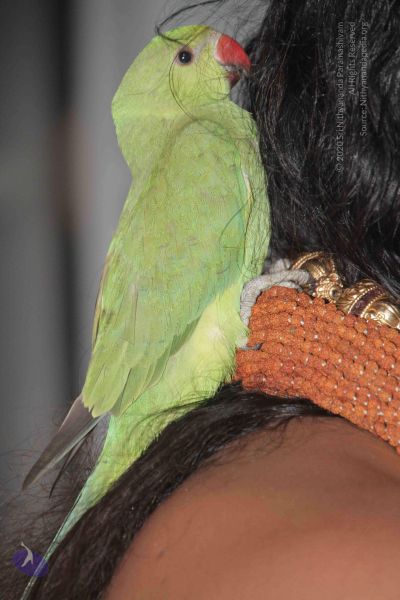 File:20130413 Photo 1205 1x9ej64IQWcQSfWdN8Jjau-mRcPIW7x6V.JPG