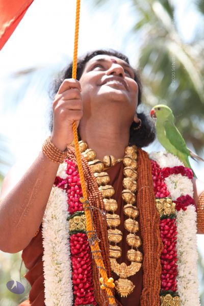 File:20130414 Photo 1048 19fPTQNqTNiyE7k5sbqy5vbWrUFoVvvqv.JPG