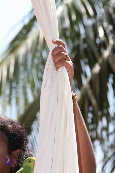 File:20130414 Photo 1056 1XwnB-nrfTY3R2XX8wVoMDDGDKI5qcVG7.JPG