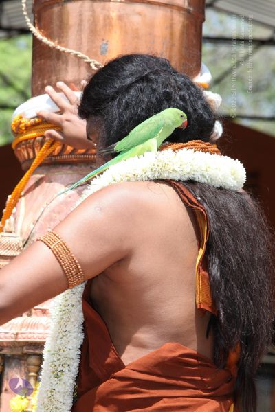 File:20130414 Photo 1068 1Urlrm8mh44-ax9WvGQQAetuma6cQVVN7.JPG