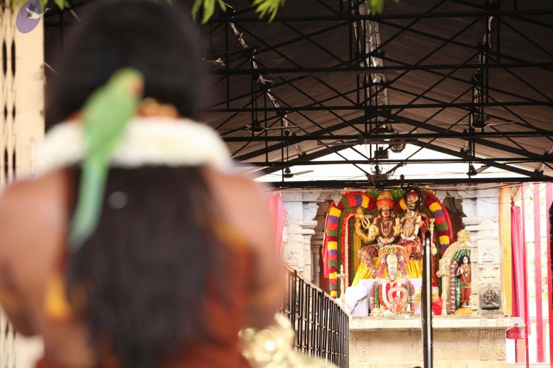 File:20130414 Photo 1133 1Wg7uaCTM5ToBhYFBsr23K0eGk2x4dk5I.JPG