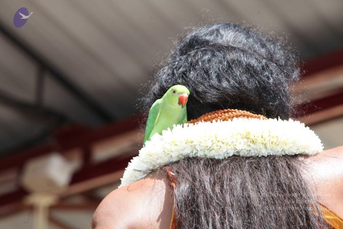 20130414 Photo 1191 1kW2JjFzfs7OoZ3XyUqrb4qjrCI088CWV.JPG