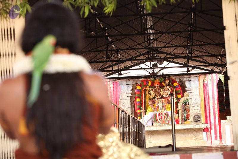 File:20130414 Photo 1229 13sVCvQpjpkffJyTesvCr9IRStd8YbFLu.JPG