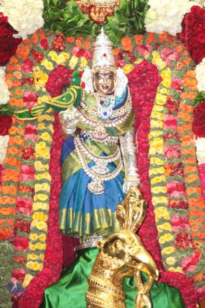 20130417 Photo 1063 1uGIG lwWHiL-rva-Yto9izv7mHx5wK3M.JPG