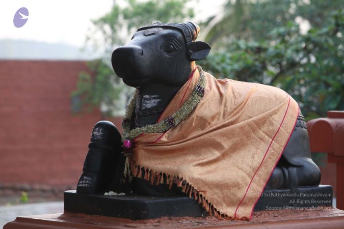 20130417 Photo 1087 1tTSPgO9ltdh4G2buWkNgq FnzUGWWX9J.JPG