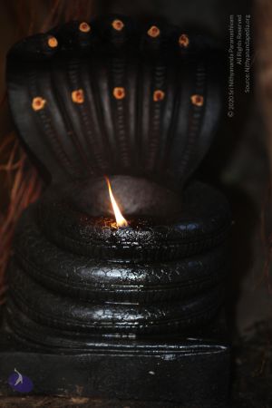 20130417 Photo 1117 1QvsVI3lvUJWGFeqm9PVhuYQdIhPsoHUN.JPG