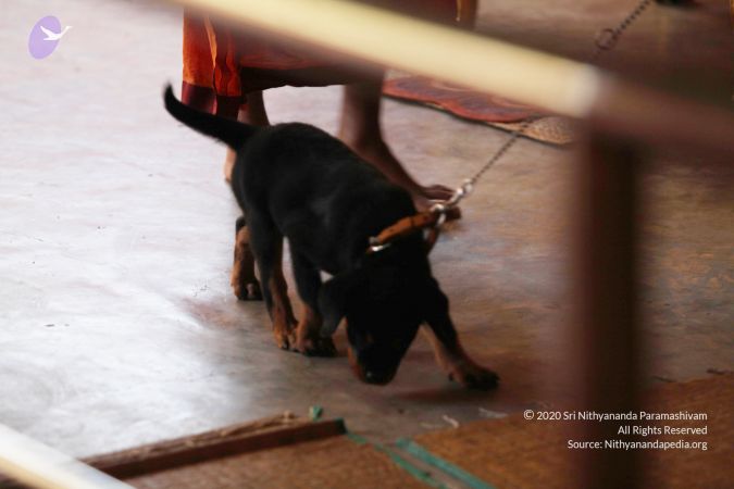 20130418 Photo 1017 1zgEMDPCN3mfMWZd3xbVTH7tRkRhjYJD0.JPG