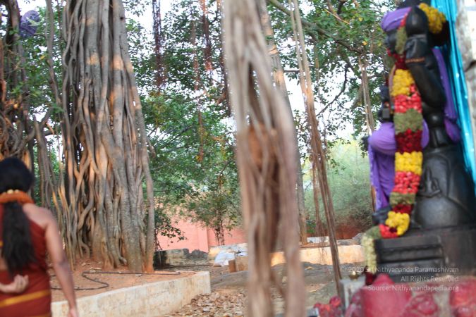 20130418 Photo 1020 1eVVA bJ4OtXjfxwzdbNdSLzeoZts4gnn.JPG