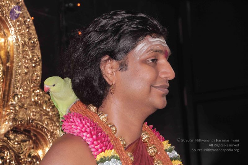 File:20130418 Photo 1029 1O jtLdypbJTOGjW2lbdPLTG83AwPrGoS.JPG