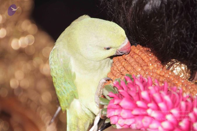 20130418 Photo 1030 1jSJwGFUB8jOUQN0Ew7I0IuKXuOYL5yQd.JPG