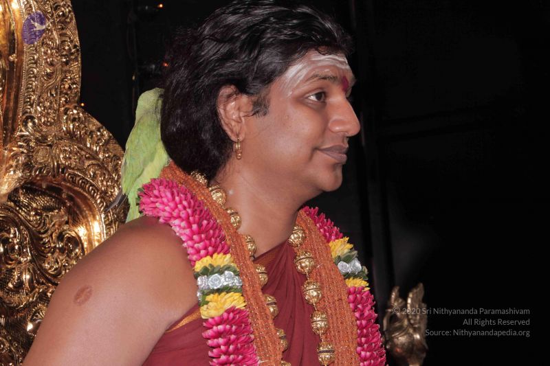 File:20130418 Photo 1039 1IDLIjPhdrS7bc HsMknmxsqAR g9pblE.JPG