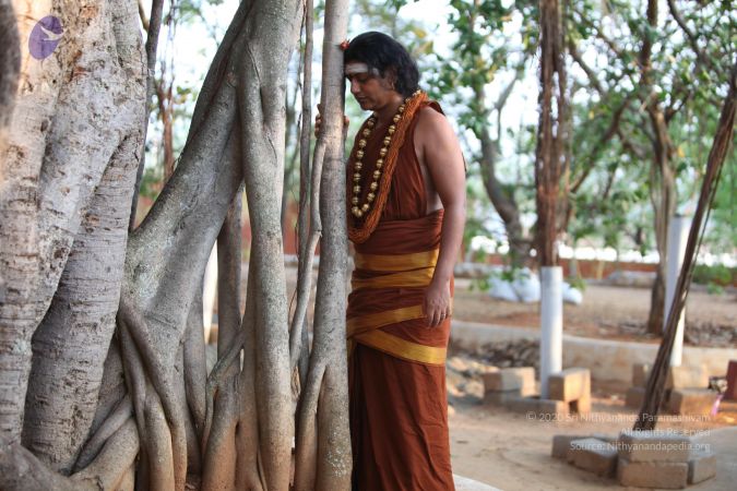 20130422 Photo 1056 1wrwealoTO99LK6CuI MQ4ChT4kKgjT1v.JPG