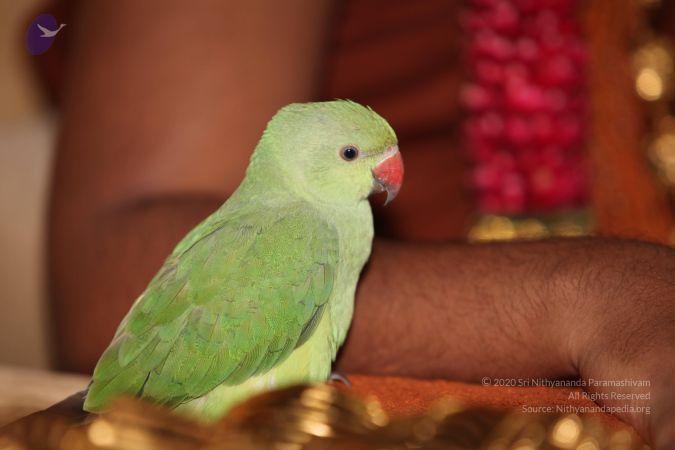 20130422 Photo 1065 1txUPiy7JDHrolMl5lCQMjY5qsTDhh7k-.JPG