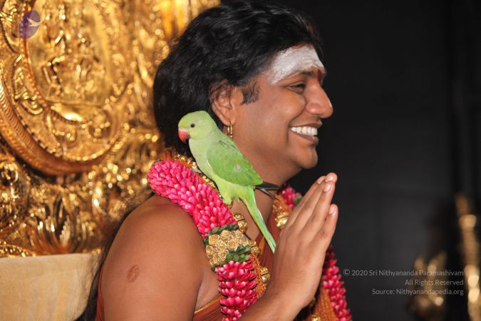 20130422 Photo 1094 1 hbi46z HcNqPQaZnVlDfh0d41QO9SXm.JPG