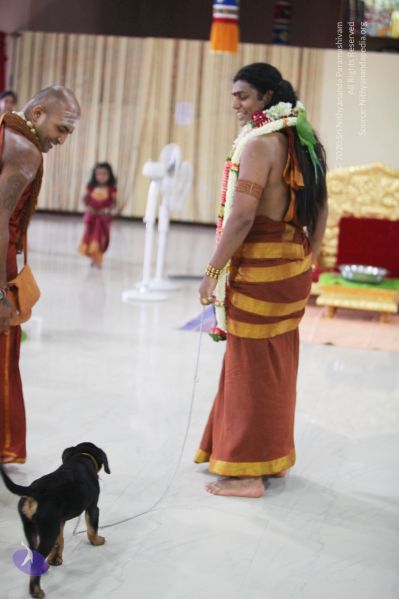 File:20130423 Photo 1046 1aNCPY5d6pWiLeKlFOg7sTQn8sUItpOYa.JPG