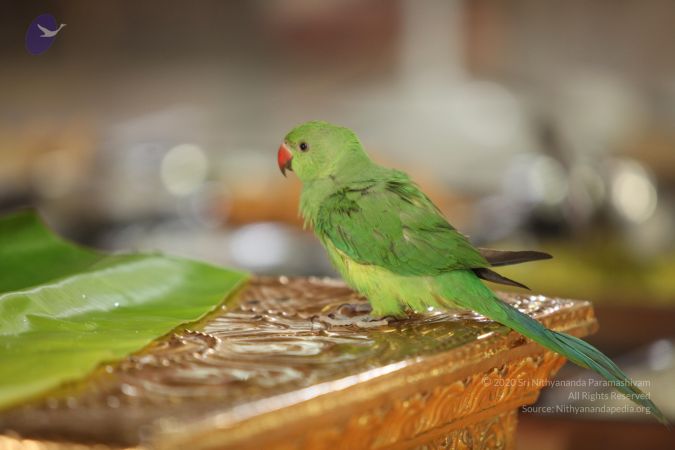 20130423 Photo 1172 1qTa2mvSFbg5hEyLJJtTdS Qzg8tUmf5k.JPG